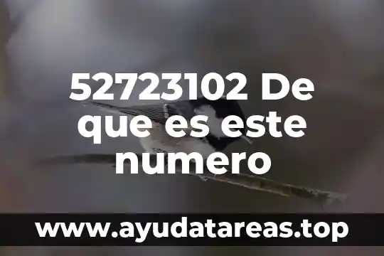 Qué es un número del money order 8 52723102 De que es este numero