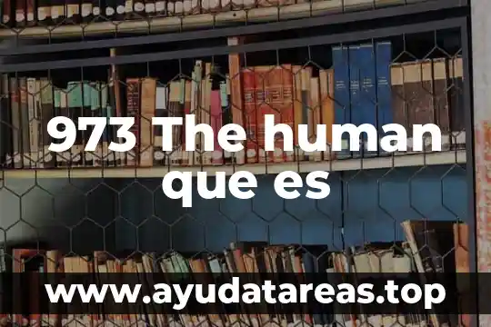 The sssay que es y tipos 3 973 The human que es