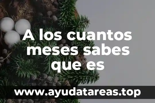Que es una entrevista y cuantos tipos hay 8 A los cuantos meses sabes que es