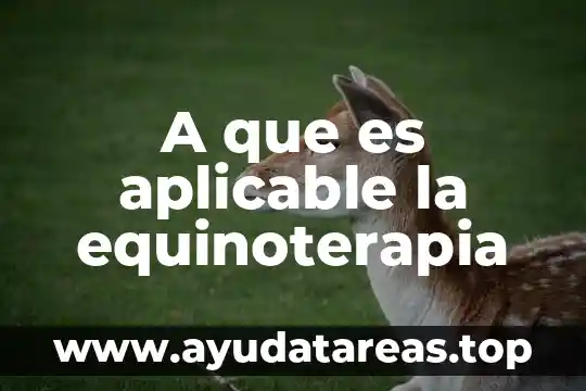 A que es aplicable la equinoterapia