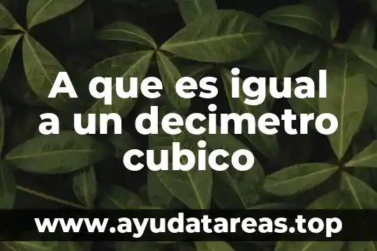 A que es igual a un decimetro cubico