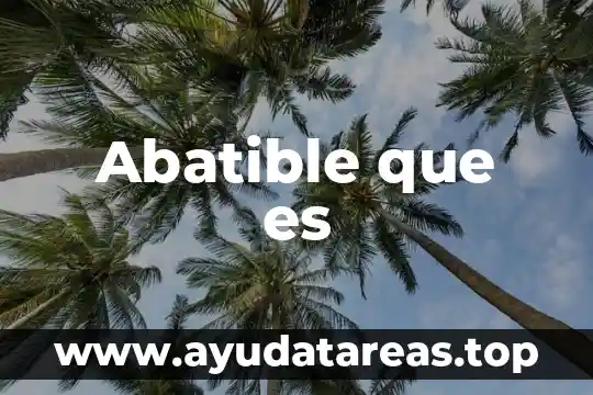 Volte tigo que es 4 Abatible que es