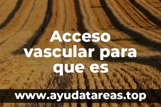 Nivel vascular que es 7 Acceso vascular para que es