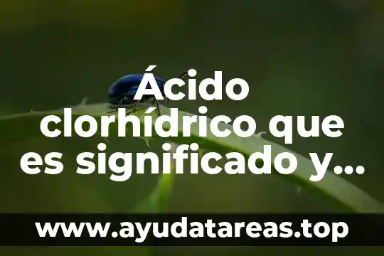 Que es la filosofia artistica que es significado y concepto 5 Ácido clorhídrico que es significado y concepto