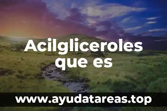 Qué es la lógica y razonamiento 4 Acilgliceroles que es