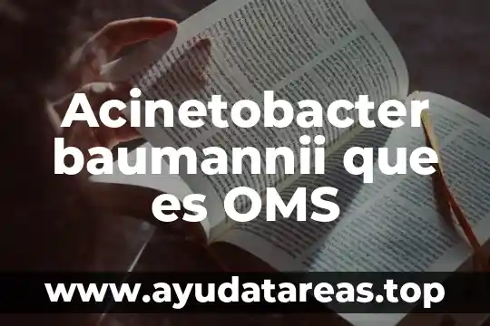 Acinetobacter baumannii que es OMS