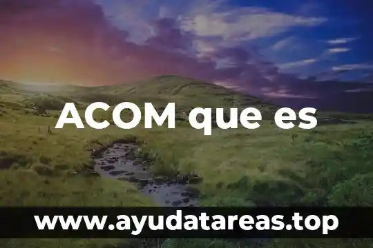 Qué es la filosofía de la enfermeria 4 ACOM que es