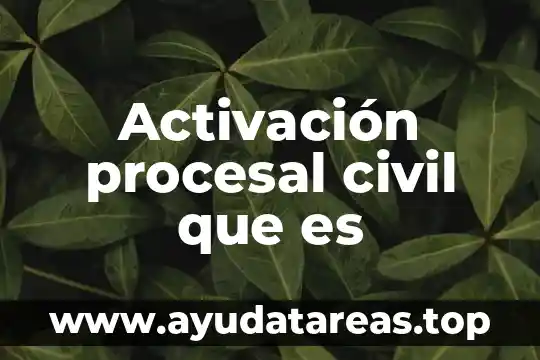 Que es el decho procesal civil segun castrillon y luna 5 Activación procesal civil que es
