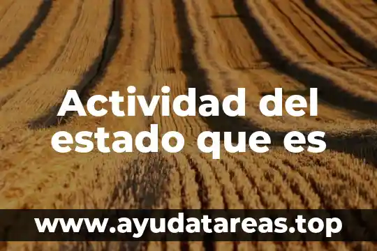 Que es actividad significado 4 Actividad del estado que es