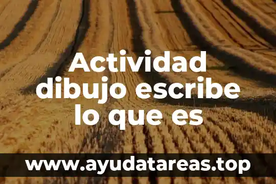Actividad dibujo escribe lo que es