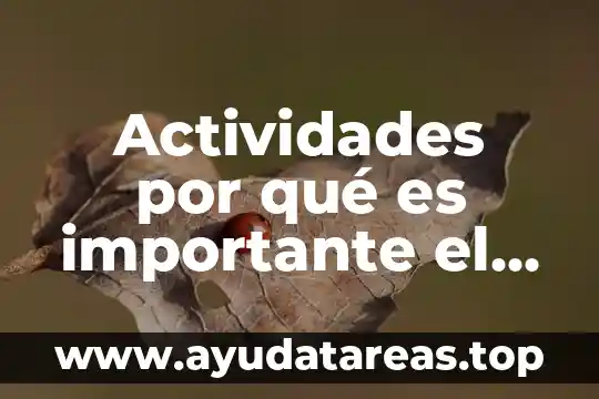 Actividades por qué es importante el respeto