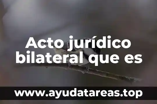 Que es tortura significado juridico 4 Acto jurídico bilateral que es