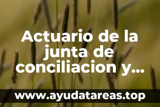 Que es el arbitraje habilidades directivas 6 Actuario de la junta de conciliacion y arbitraje que es