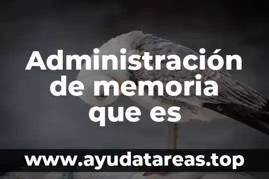 Administración de memoria que es