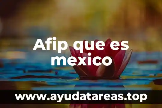 Afip que es mexico