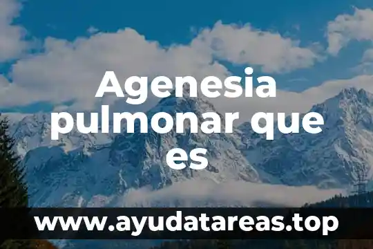 Volumen estático pulmonar que es 7 Agenesia pulmonar que es