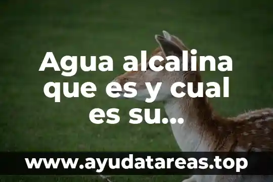 Que es agua alumbrada 4 Agua alcalina que es y cual es su procedimiento