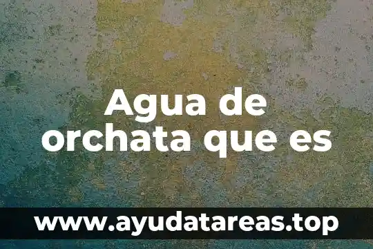 4P que es 4 Agua de orchata que es