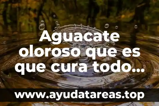 Vaporu que es que cura todo sobre esta planta 4 Aguacate oloroso que es que cura todo sobre esta planta