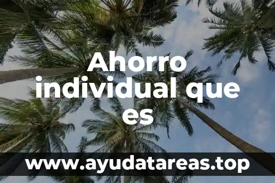 Ahorro individual que es