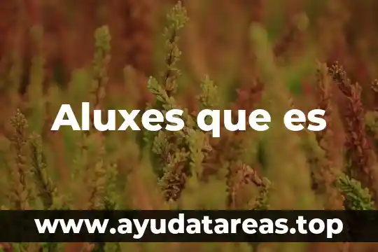 Qué es aplicabilidad estándar como nombre institucional 5 Aluxes que es