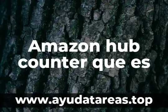 Amazon hub counter que es