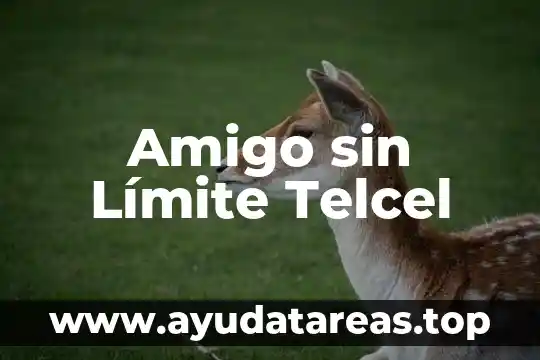 Cómo sabes que es tu amigo de verdad 6 Amigo sin Límite Telcel