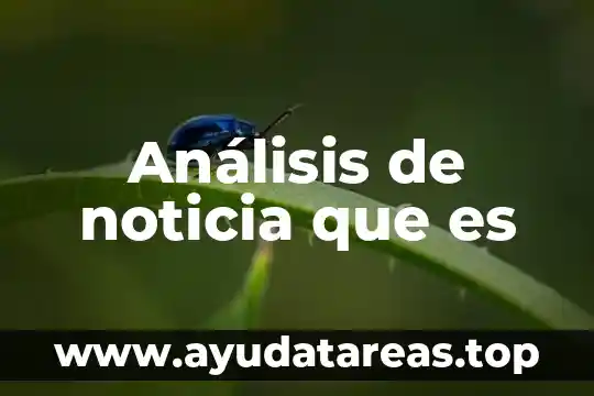 Análisis de noticia que es