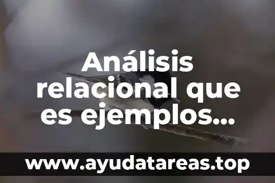 Análisis relacional que es ejemplos etc