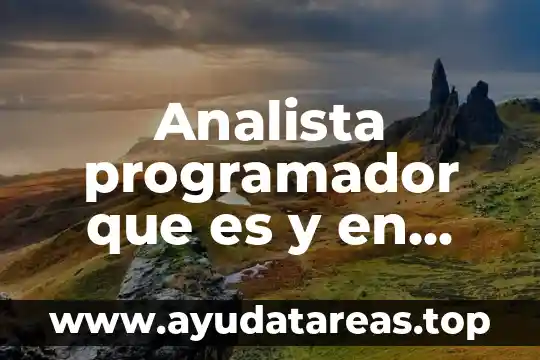 Analista programador que es y en que consiste