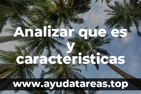 Analizar que es y caracteristicas