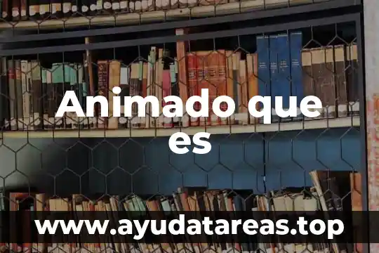 Que es medir animado 7 Animado que es
