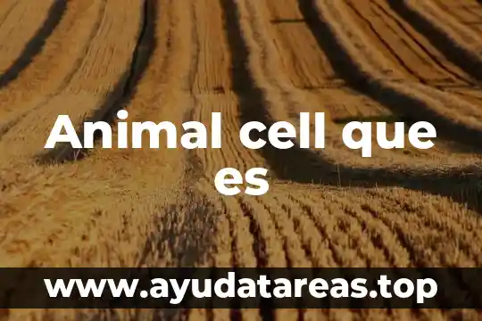 Animal tucán que es lo que comen 6 Animal cell que es
