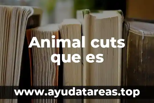 Animal que es mueble y animal a la vez 7 Animal cuts que es