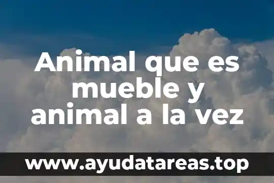 Animal cuts que es 8 Animal que es mueble y animal a la vez