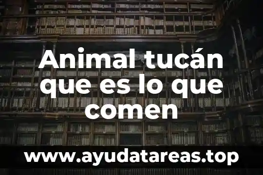 Que es palpar un animal 7 Animal tucán que es lo que comen