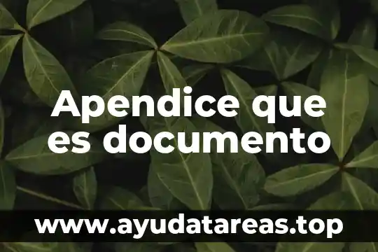 Apendice que es documento