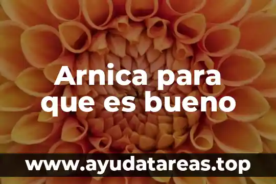 Que es bueno para quemaduras por el sol 5 Arnica para que es bueno