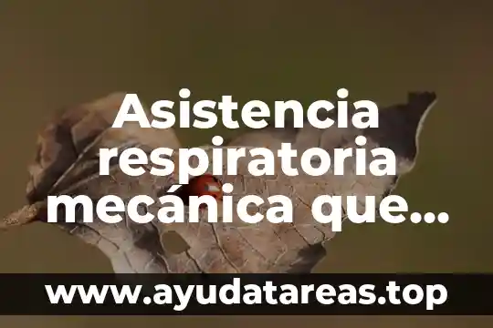 Asistencia respiratoria mecánica que es