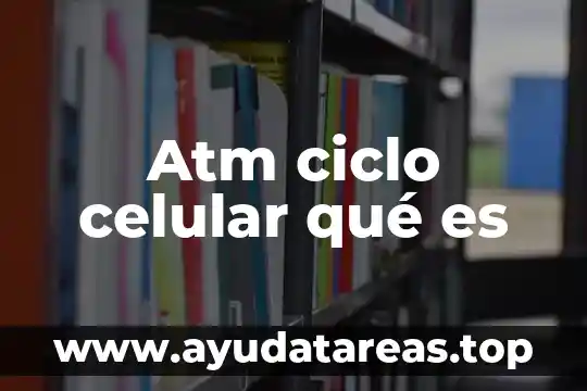 Que es el ciclo de l agua 5 Atm ciclo celular qué es