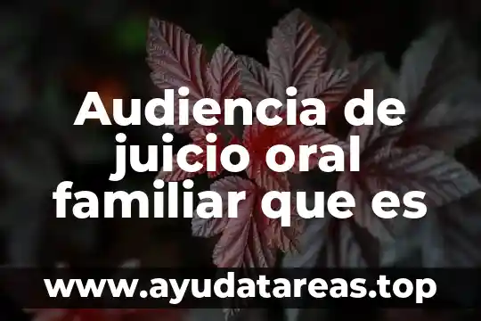 Que es el juicio oral concepto 5 Audiencia de juicio oral familiar que es