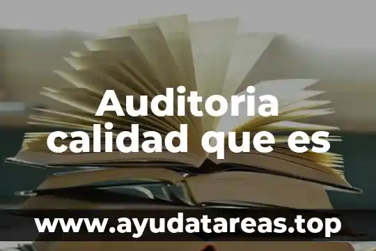 Auditoria calidad que es