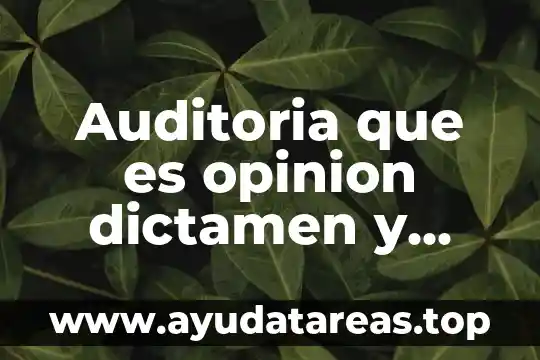 Que es los tipos de estilos pictoricos 5 Auditoria que es opinion dictamen y tipos de opinión