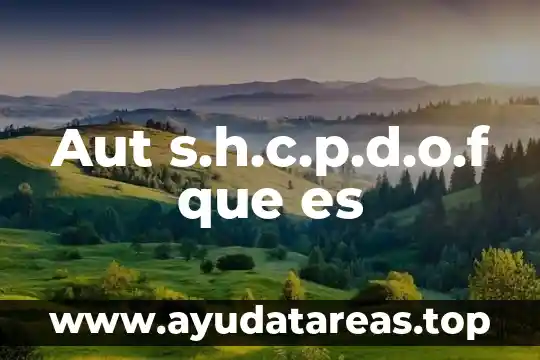 Aut s.h.c.p.d.o.f que es