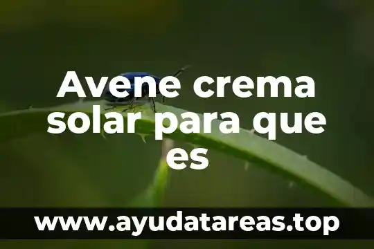 Que es una conclusión del sistema solar 3 Avene crema solar para que es