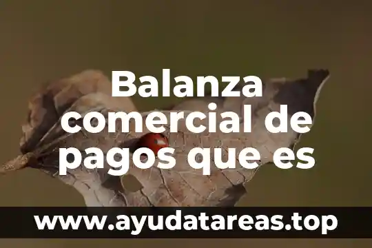 Lms comercial que es 4 Balanza comercial de pagos que es