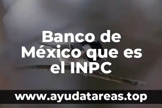 Banco de México que es el INPC
