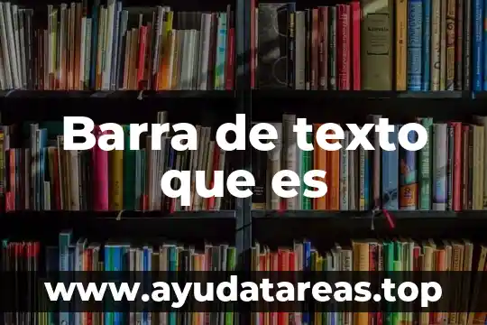 Barra de texto que es