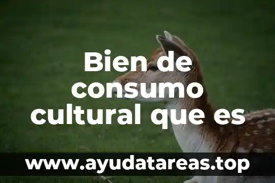 Que es un bien no fungible en derecho 8 Bien de consumo cultural que es
