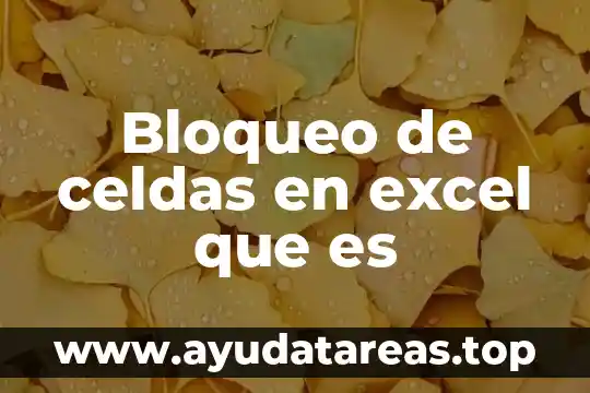 Que es el color granate oscuro en excel 6 Bloqueo de celdas en excel que es